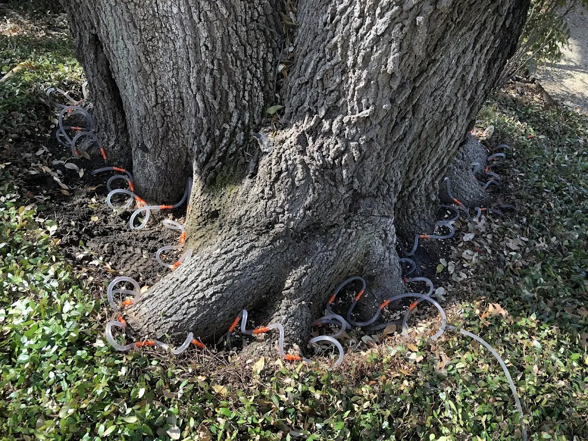 Detailed Shrub and Hedge Trimming job site in Powderly